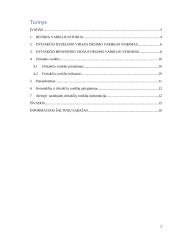 Dvitaktis variklis 2 puslapis
