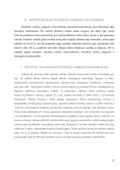 Dvitaktis variklis 12 puslapis