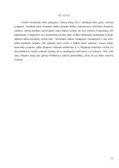 Dvitaktis variklis 15 puslapis