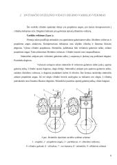 Dvitaktis variklis 6 puslapis
