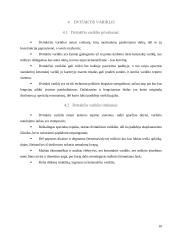 Dvitaktis variklis 10 puslapis
