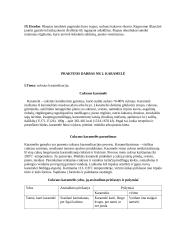 Maisto produktų technologijų I modulio laboratorinių darbų aplankas 8 puslapis