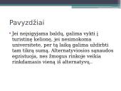 Alternatyviosios sąnaudos 7 puslapis