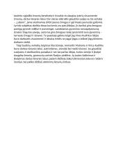 Tautinių vertybių teigimas literatūroje 2 puslapis