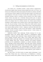 Pėsčiųjų eismas ir palyginimas su kitomis rūšimis 19 puslapis