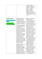 „Skirgaila“ veikėjų paveikslai, konspektas, analizė 11 puslapis