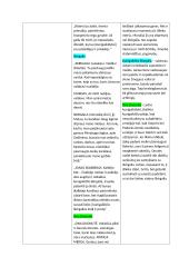 „Skirgaila“ veikėjų paveikslai, konspektas, analizė 3 puslapis