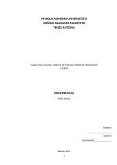 Ikiteisminio tyrimo planas