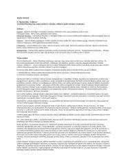 N. Machiavellio "Valdovas" analizė