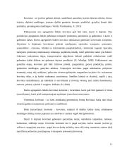 Konservuotų pupelių gabenimo maršrutų iš Šiaulių į Štutgartą įvertinimas 11 puslapis