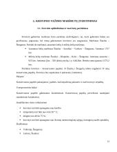 Konservuotų pupelių gabenimo maršrutų iš Šiaulių į Štutgartą įvertinimas 15 puslapis
