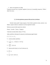 Konservuotų pupelių gabenimo maršrutų iš Šiaulių į Štutgartą įvertinimas 16 puslapis