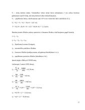Konservuotų pupelių gabenimo maršrutų iš Šiaulių į Štutgartą įvertinimas 17 puslapis