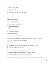 Konservuotų pupelių gabenimo maršrutų iš Šiaulių į Štutgartą įvertinimas 18 puslapis