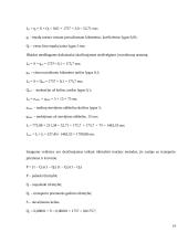 Konservuotų pupelių gabenimo maršrutų iš Šiaulių į Štutgartą įvertinimas 19 puslapis