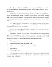 Konservuotų pupelių gabenimo maršrutų iš Šiaulių į Štutgartą įvertinimas 7 puslapis