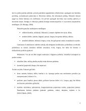 Konservuotų pupelių gabenimo maršrutų iš Šiaulių į Štutgartą įvertinimas 9 puslapis