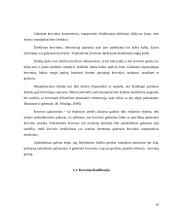 Konservuotų pupelių gabenimo maršrutų iš Šiaulių į Štutgartą įvertinimas 10 puslapis