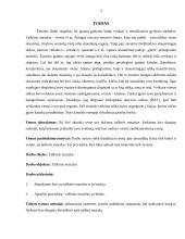 Taškinis masažas: istorija ir būdai 3 puslapis