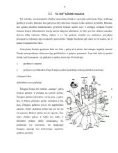 Taškinis masažas: istorija ir būdai 9 puslapis