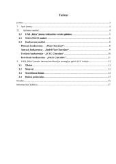 ,,RŪTA“ plėtros į JAV rinką analizė 2 puslapis