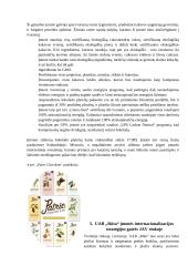 ,,RŪTA“ plėtros į JAV rinką analizė 12 puslapis