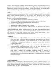 ,,RŪTA“ plėtros į JAV rinką analizė 13 puslapis