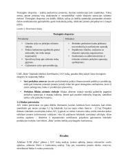 ,,RŪTA“ plėtros į JAV rinką analizė 14 puslapis