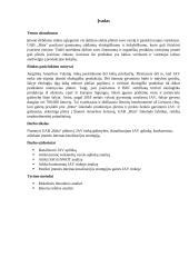 ,,RŪTA“ plėtros į JAV rinką analizė 3 puslapis