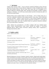 ,,RŪTA“ plėtros į JAV rinką analizė 4 puslapis