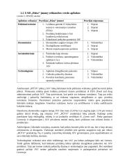 ,,RŪTA“ plėtros į JAV rinką analizė 5 puslapis