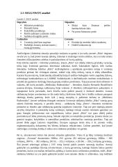 ,,RŪTA“ plėtros į JAV rinką analizė 6 puslapis