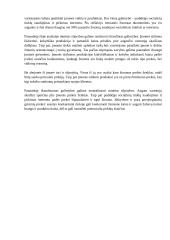 ,,RŪTA“ plėtros į JAV rinką analizė 7 puslapis