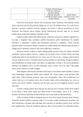 Kosmogoninių mitų struktūros analizė 11 puslapis