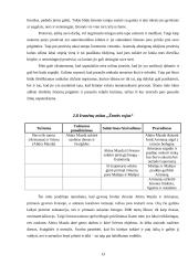 Kosmogoninių mitų struktūros analizė 13 puslapis