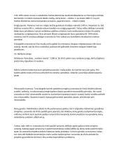 Garsus Italų rašytojas Leonardo da Vinči 3 puslapis