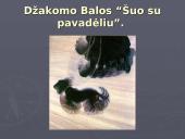 Futurizmas XX a. pradžia 9 puslapis