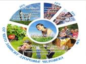 Здоровый образ жизни ЗОЖ  4 puslapis