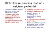 Lietuva Rusijos imperijoje 14 puslapis