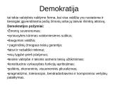 Politologija (kartojimas) 11 puslapis