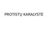 Protistų karalystė