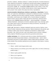 Judita Vaičiūnaitė biografija 3 puslapis