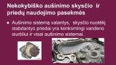 Automobilių aušinimo sistema 13 puslapis