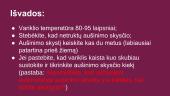 Automobilių aušinimo sistema 17 puslapis