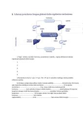 Liežuvio skonio receptorių tyrimas 3 puslapis