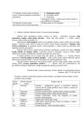 2 skyrius. Mito universalumas. Mitai tautosakoje ir kultūroje atsakymai  4 puslapis