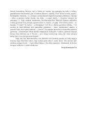 Įsipareigojimo tėvynei tema literatūroje 2 puslapis