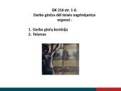 Darbo ginčų dėl teisės nagrinėjimas 2 puslapis