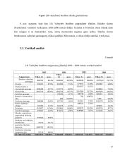 2003–2006 metų valstybės biudžetų analizė 17 puslapis