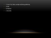 Nuožulnioji Plokštuma 12 puslapis